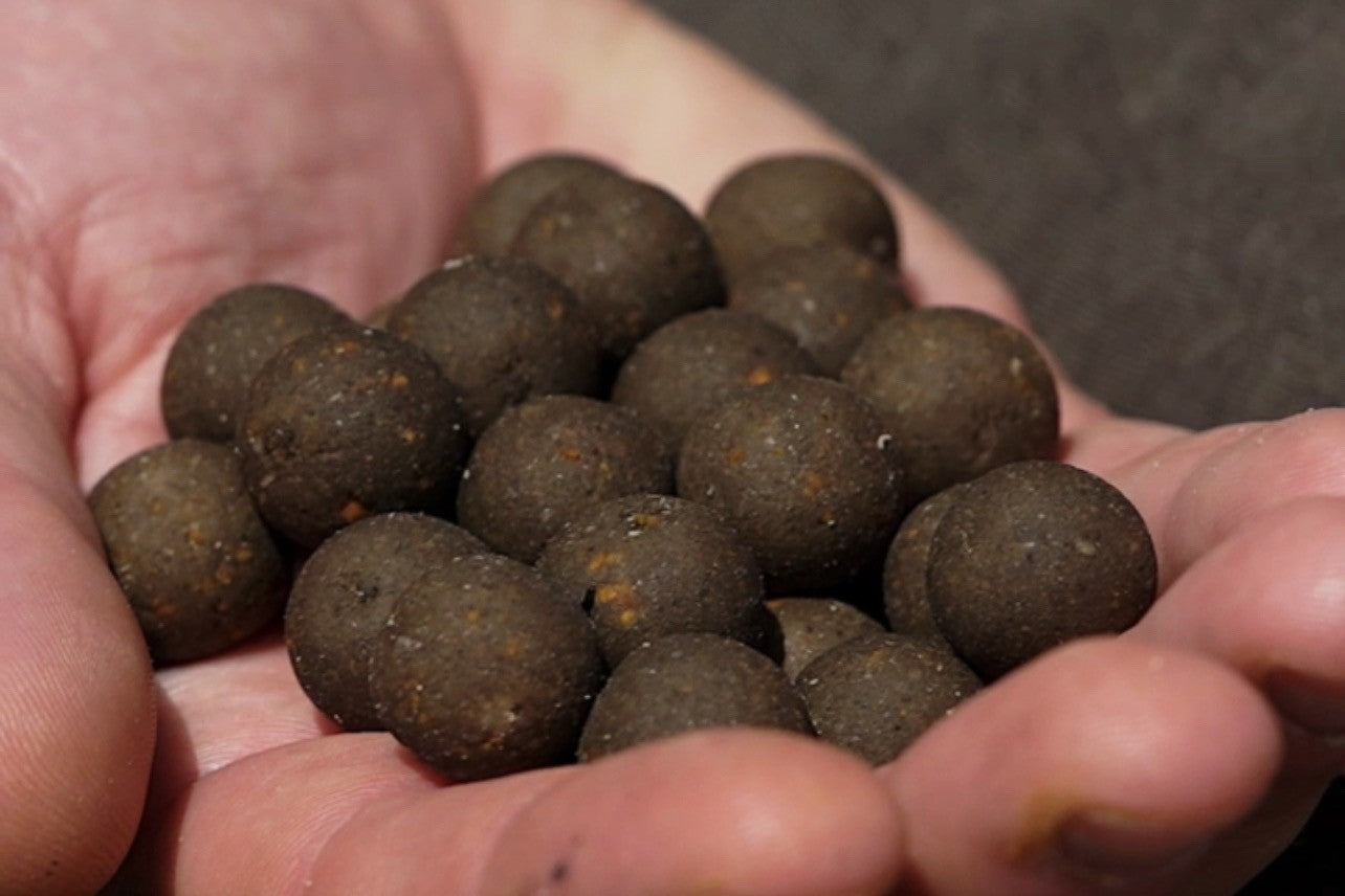 Elevate Baits - Garlic Infusion Boilies