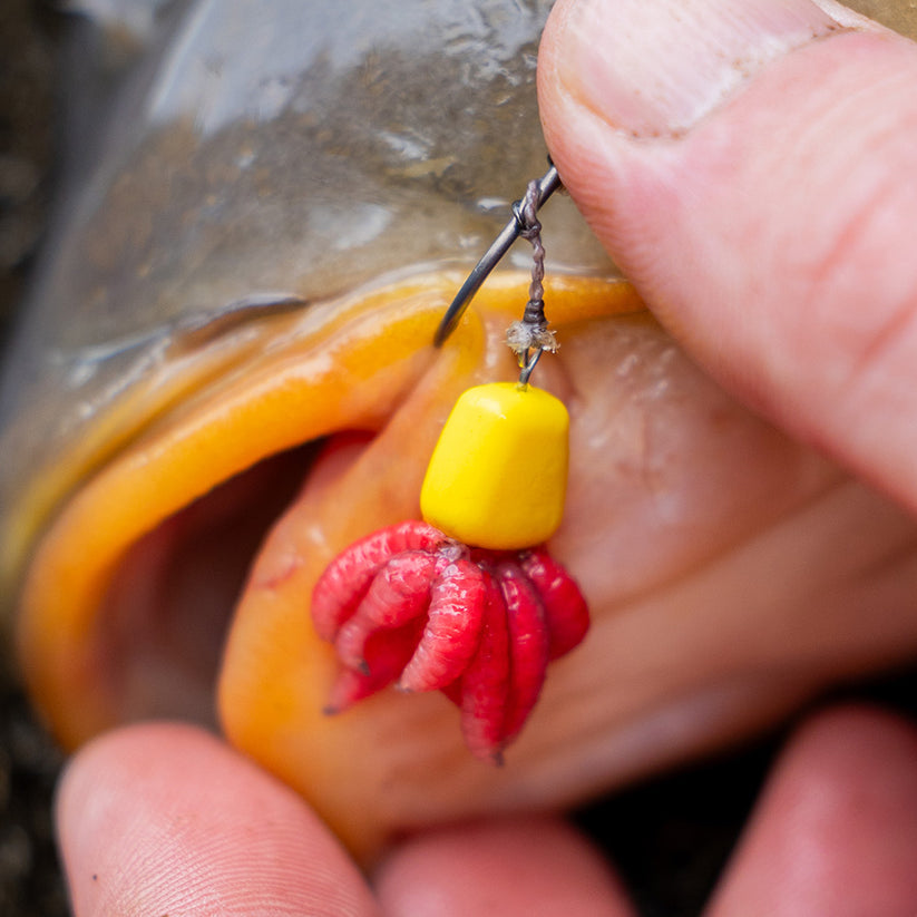 Atomic Bait Spikez