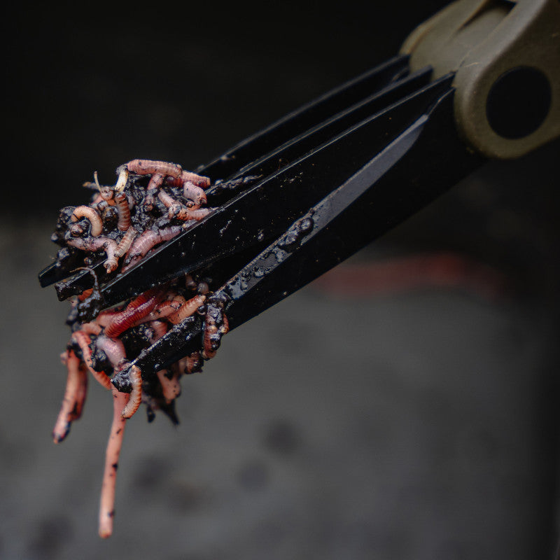 Avid - Worm Chopperz