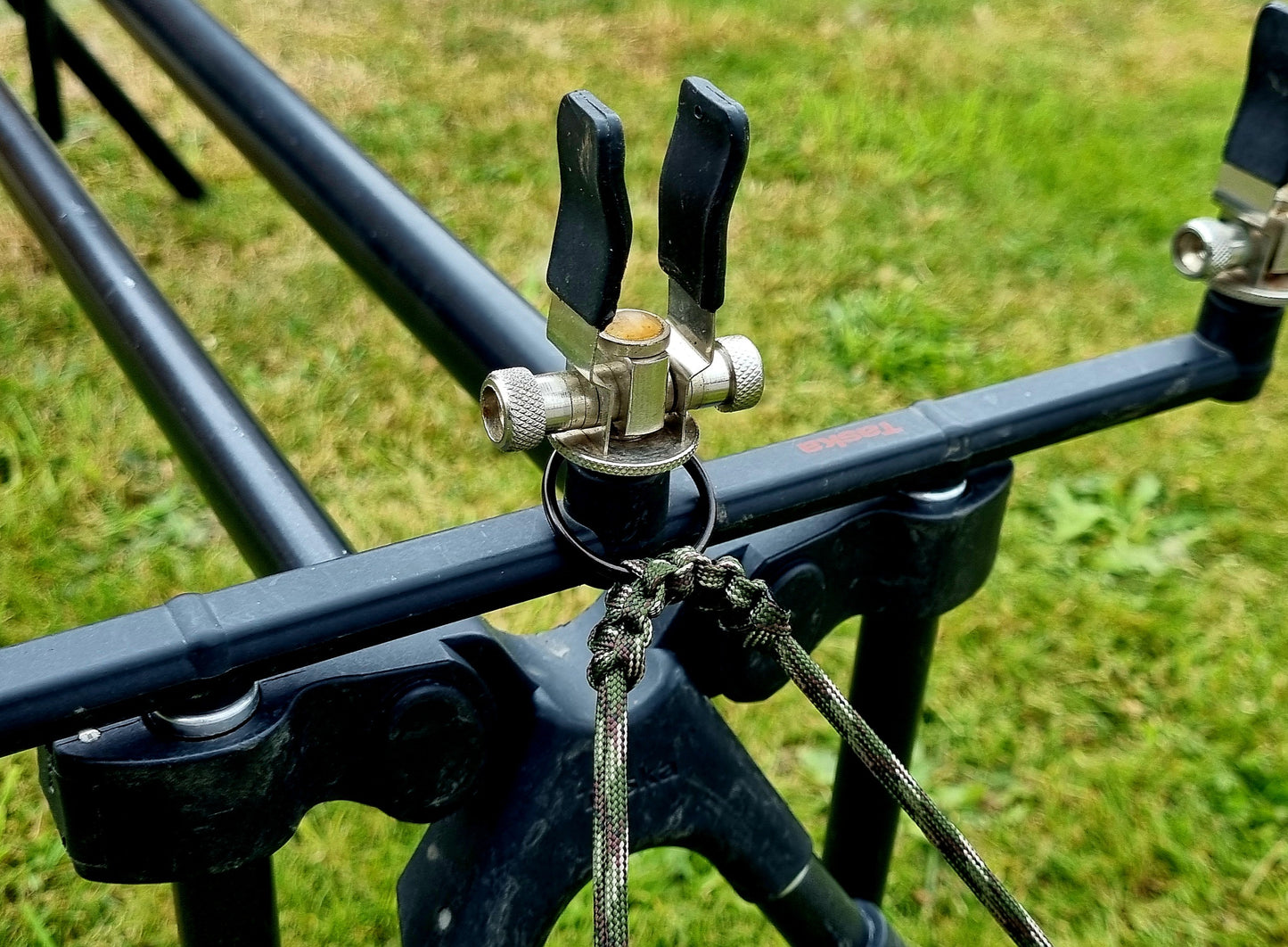 Squirrels Nuts Pod Safe Retainer Cord