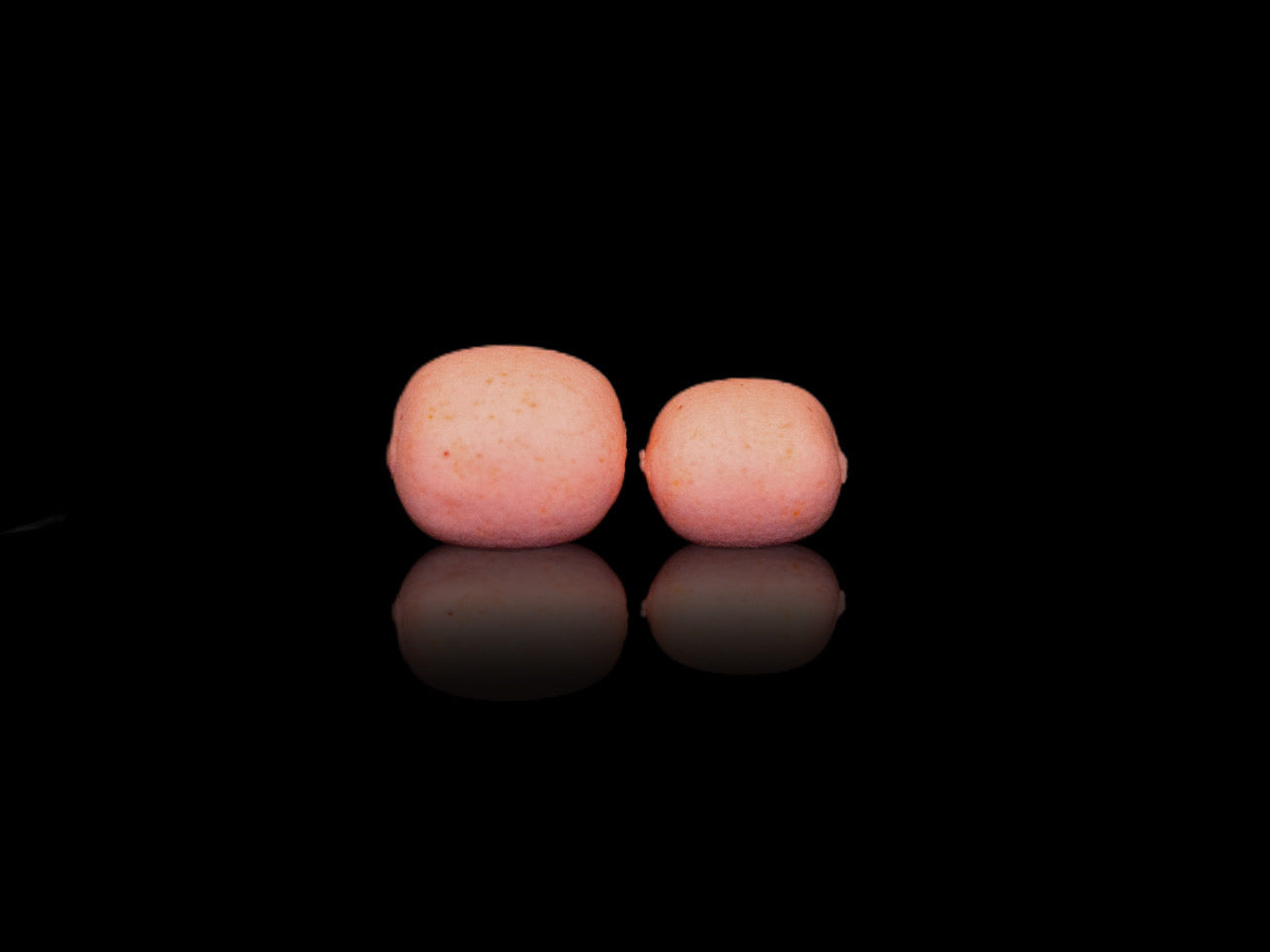 Elevate Baits - Super Squid Pillows 10mm & 12mm Pop-Up Hookbaits