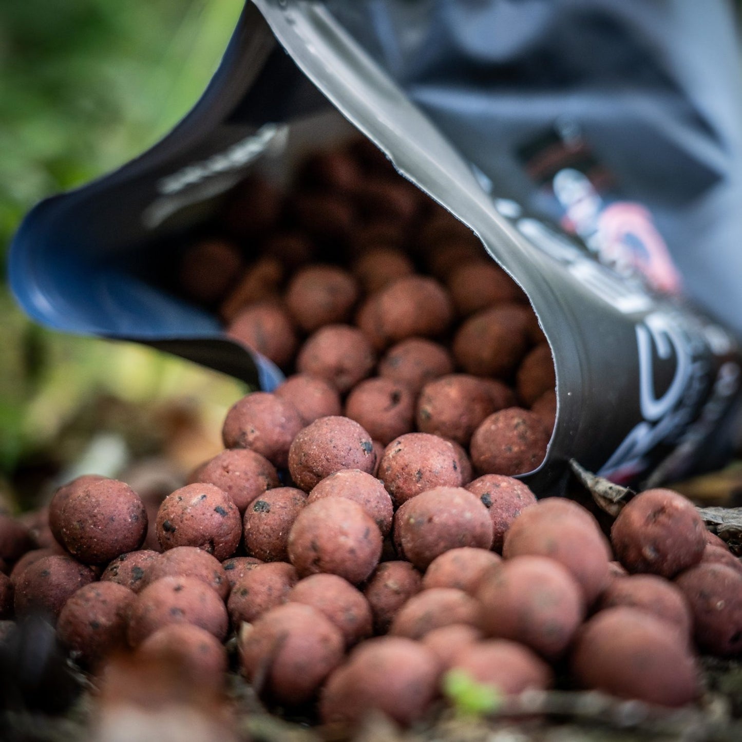 RG Baits - Red Sea Squid Stabilised Baits 1kg