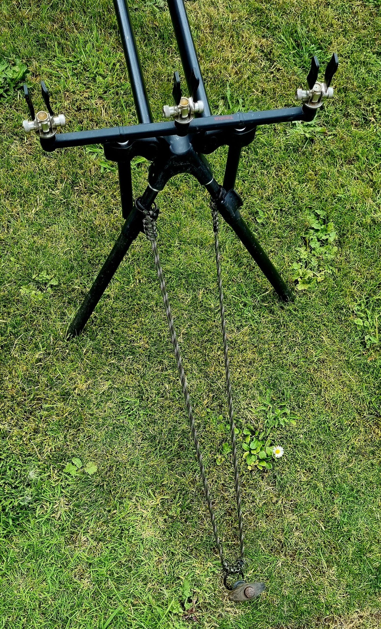 Squirrels Nuts Pod Safe Retainer Cord