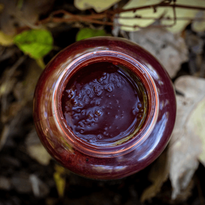 RG Baits - Red Sea Squid Dedicated Bait Soak