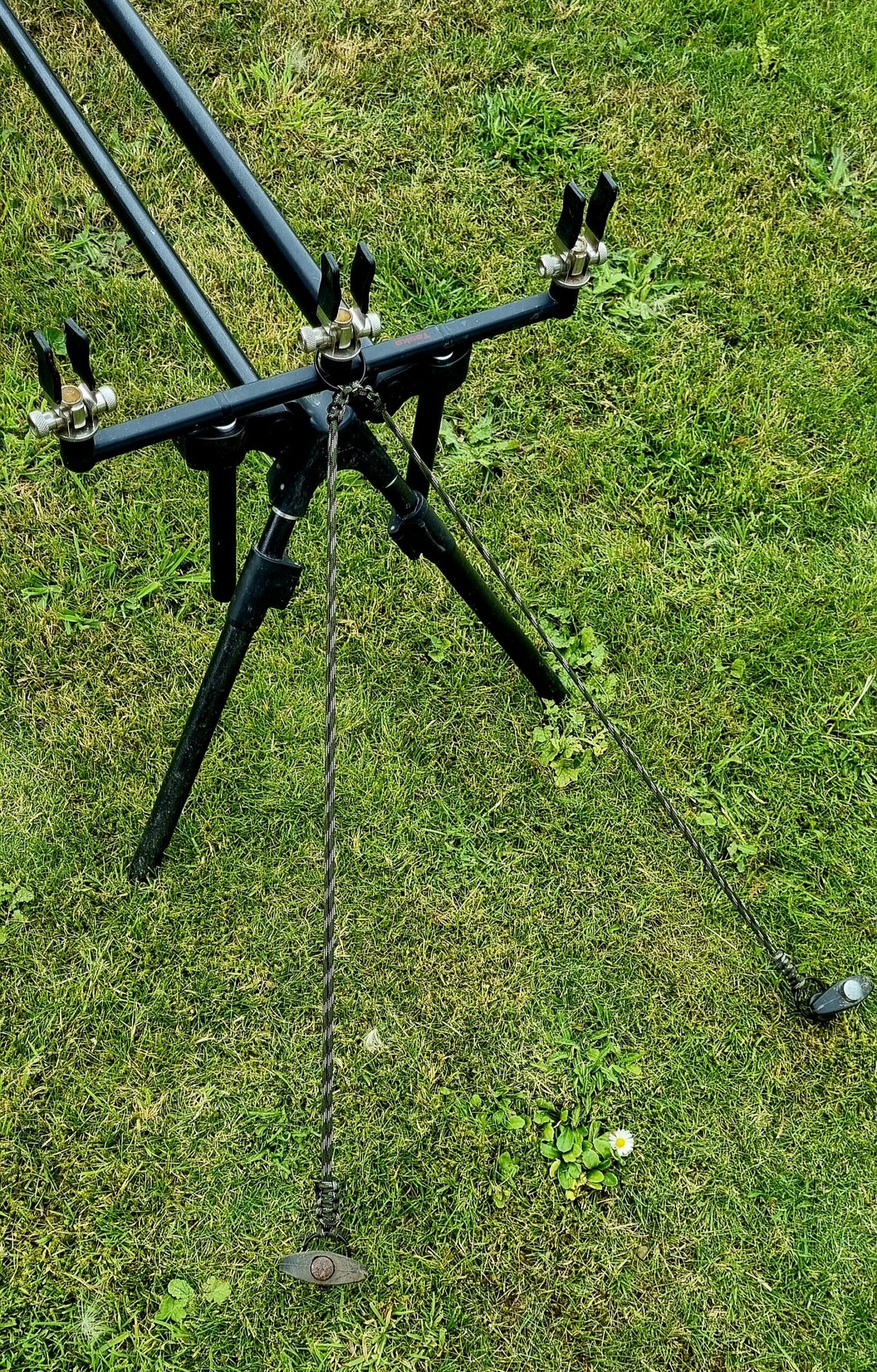 Squirrels Nuts Pod Safe Retainer Cord