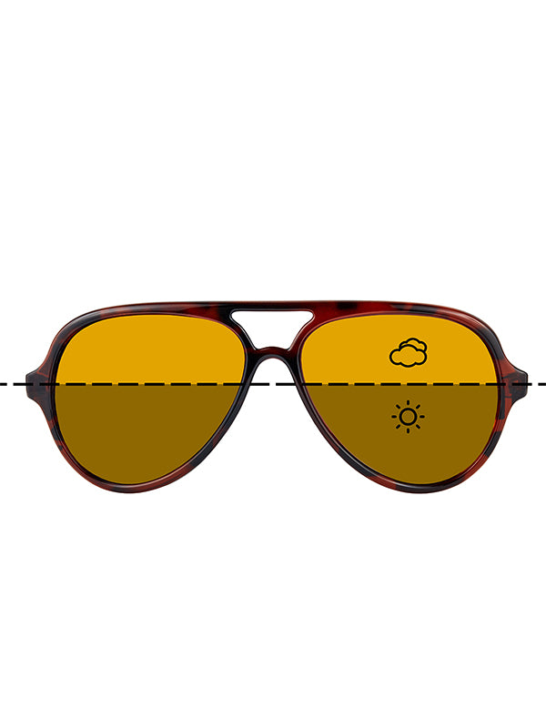 Fortis - Aviators Sunglasses