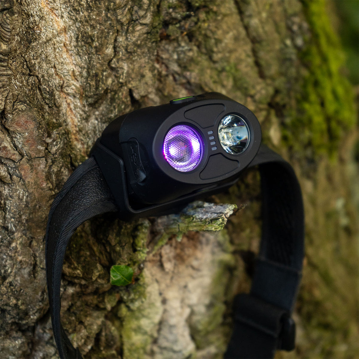 RidgeMonkey - VRH300X Pro Rechargeable Headtorch