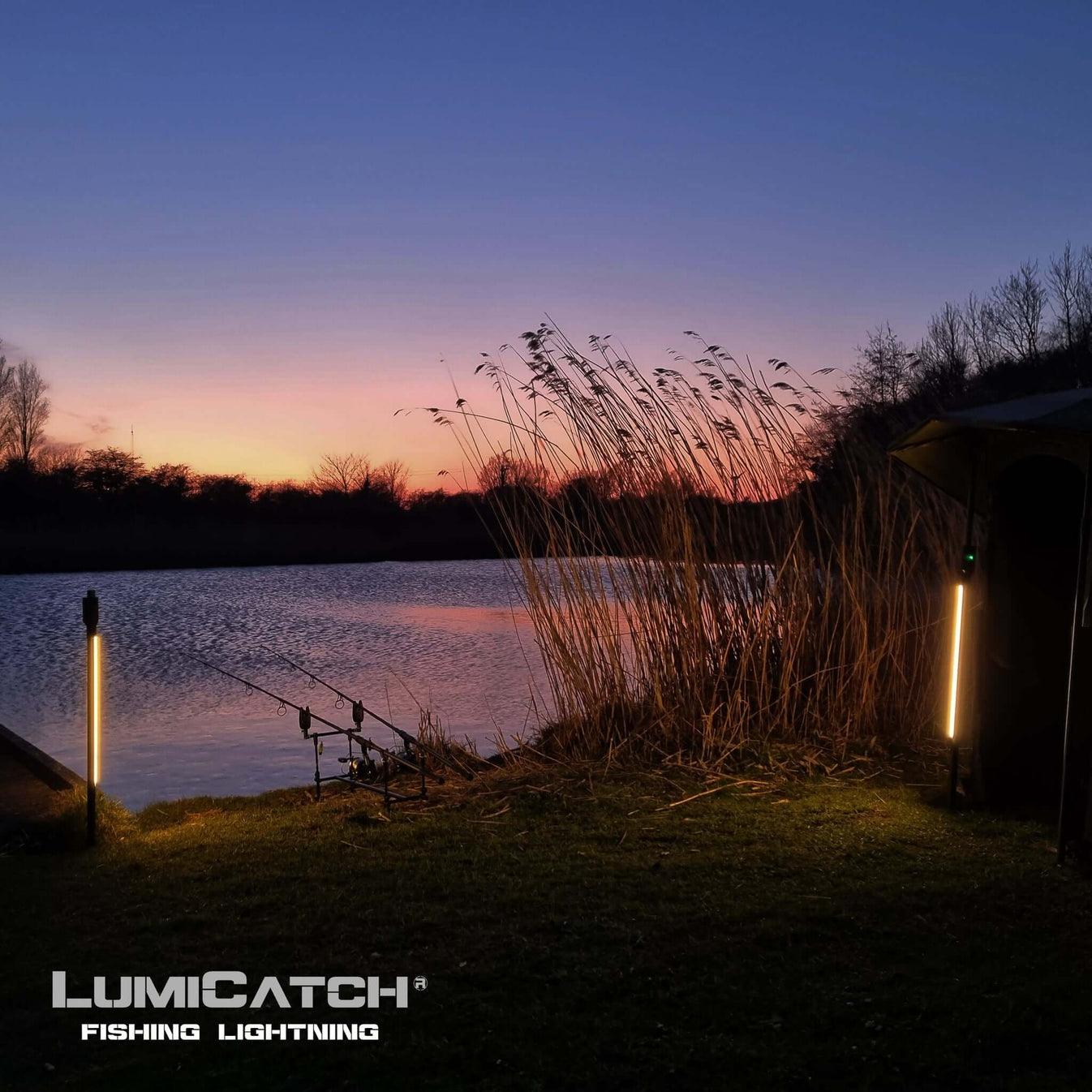 Fishsense LumiCatch Support