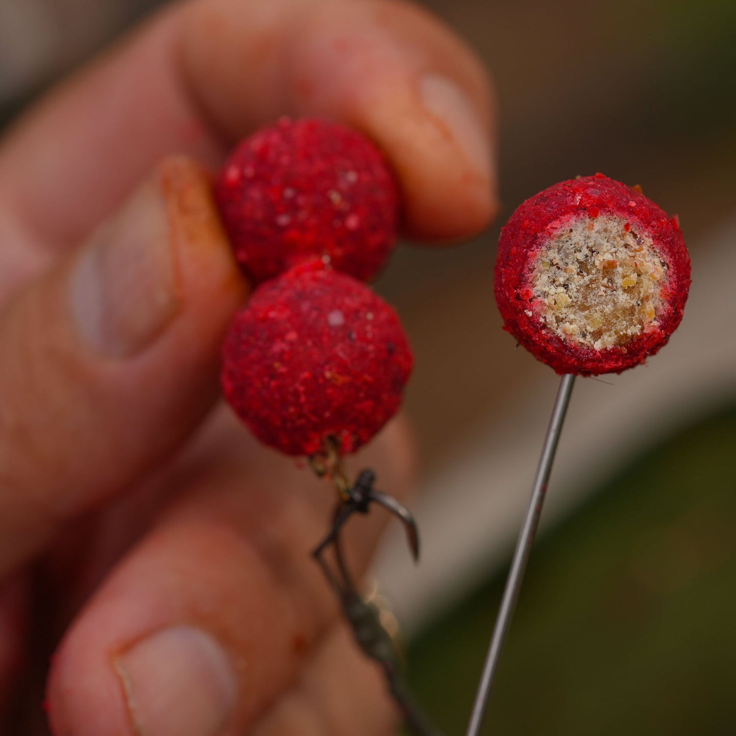 Fjuka - Carp Fish Accelerant Coated Boilies 400g