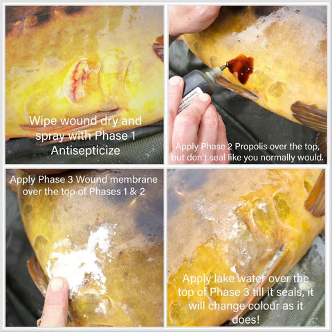 Carp Care Uk - Carp Care