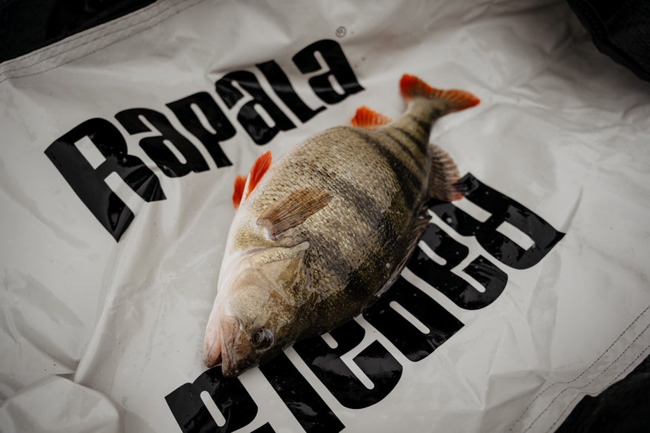 Rapala - Weigh & Release Mat