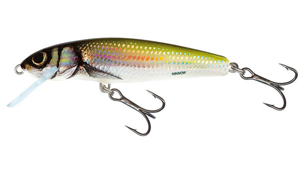 Salmo - floating minnow 7